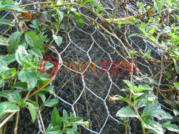 三維植被網(wǎng)施工