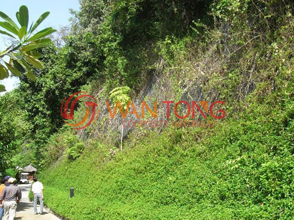 三維植被網(wǎng)施工