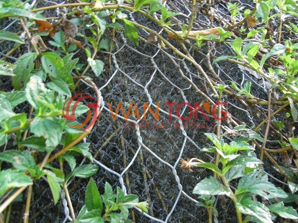 三維植被網(wǎng)施工