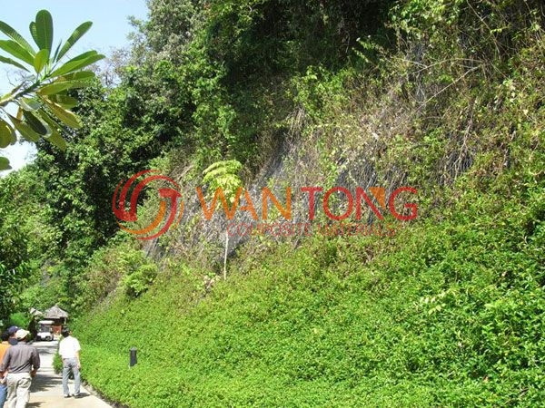 三維植被網(wǎng)施工