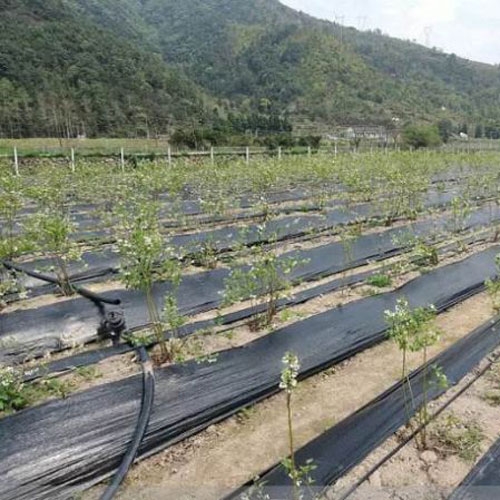 萬通除草布的使用方法